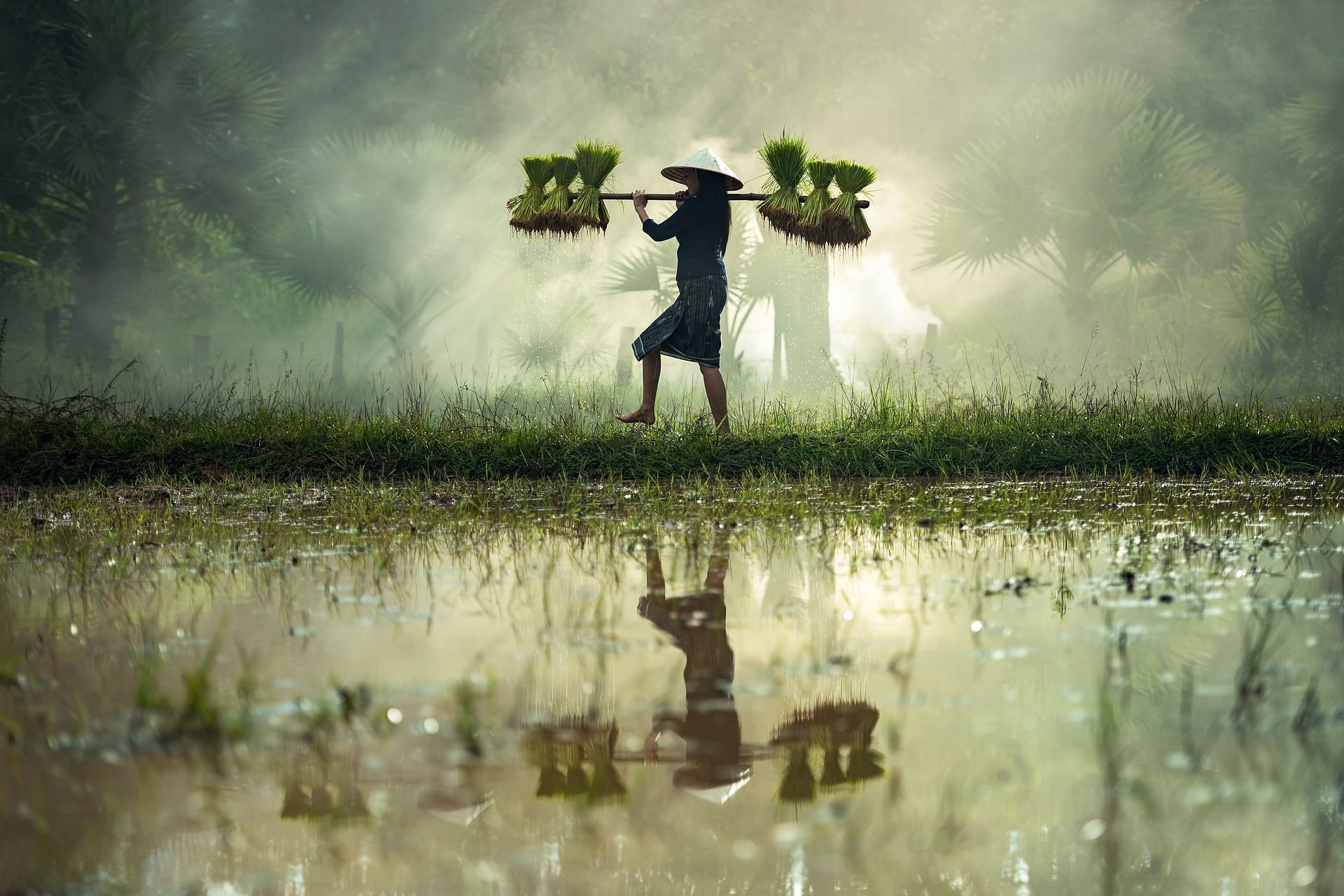 Agricultura