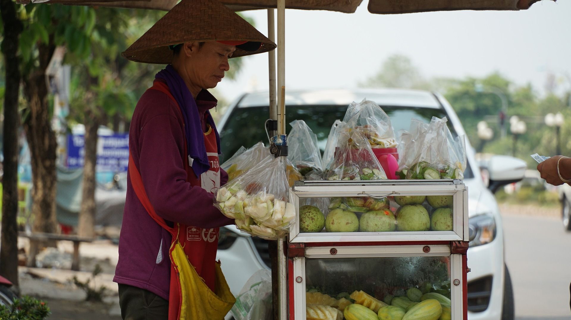 Laos población