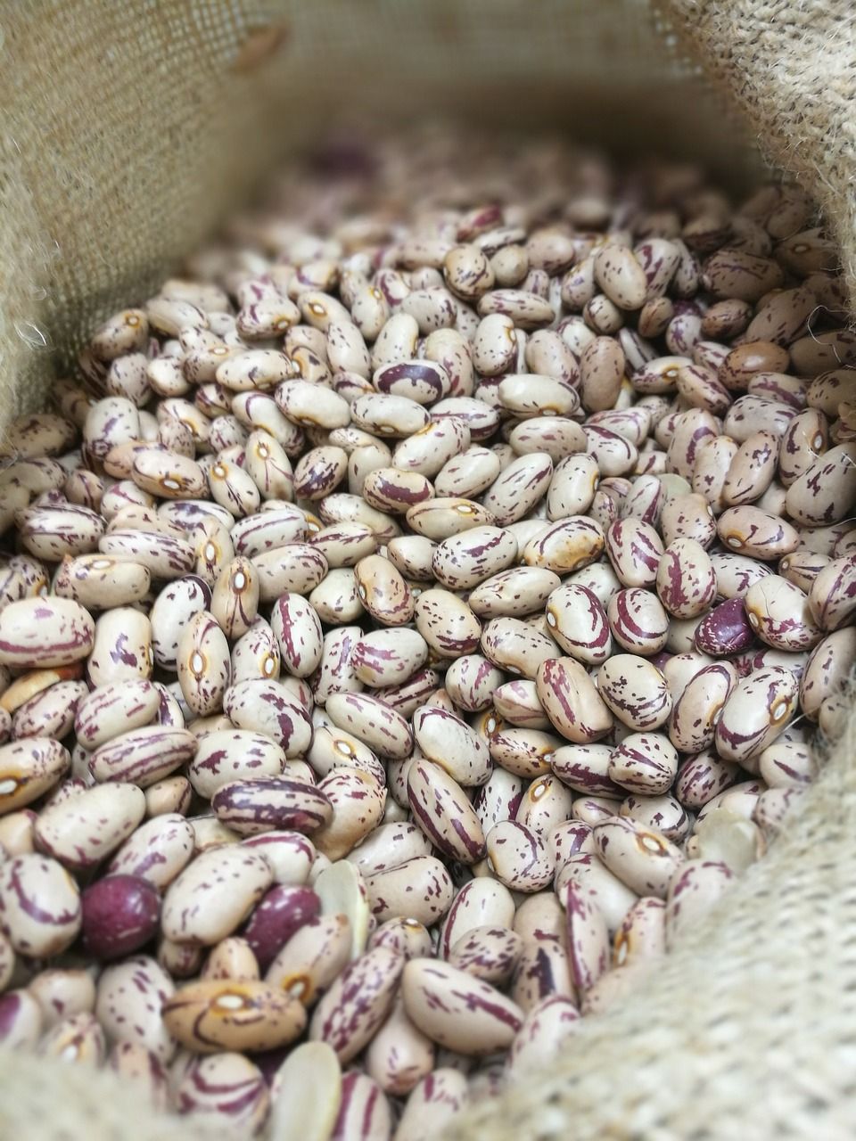Alubia